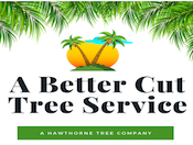 Photos by Hawthorne's Tree Service Lakeland Fl #1