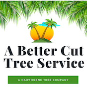 Photos by Hawthorne's Tree Service Lakeland Fl #1
