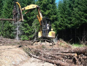 Photo(s) from Nw Core Construction Llc Clearing land for a new natural gas pad. Logging, processing and shipping out the wood.