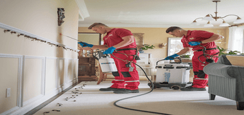 the South Lyon Pest Control Gurus