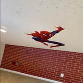 Silverback Painting Solutions