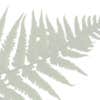 Charles Earl Landscape Architecture LLC logo