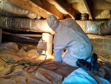crawl space mold removal