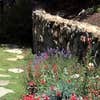 DeLopez Landscaping logo