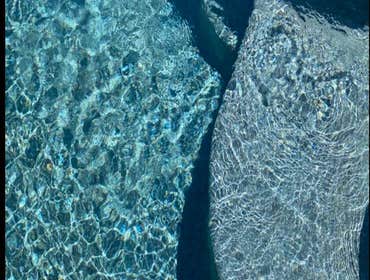 Swimming Pools
