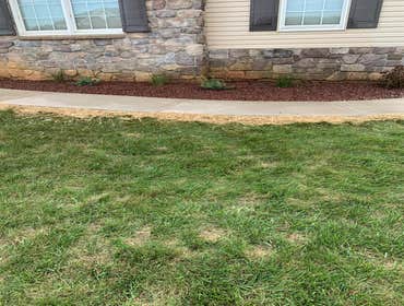 Photos by Tres Reyes Landscaping Services #1