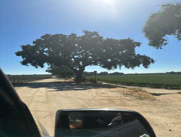 Photos by Discovery Tree Care, Inc #15