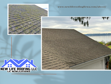Photos by New Life Roofing LLC #20