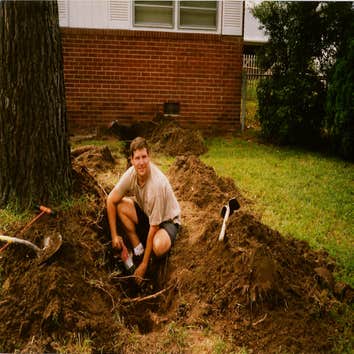 water and sewer lines Tree roots in sewer lines, water line improved water pressure