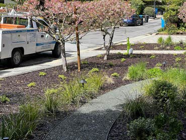 Photos by Bloom & Lawn Landscape Inc #1