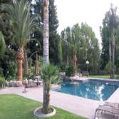 Photos by MARIO'S TREE SERVICES #1