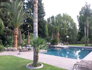 Photos by MARIO'S TREE SERVICES #1