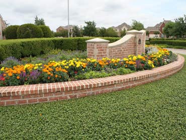 Photos by High Quality Landscape Services #1