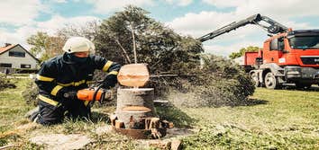 Peoria Tree Services
