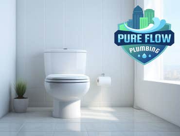 Toilet installation in Clover, SC