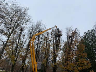 Photos by Capetillo Landscaping LLC #39