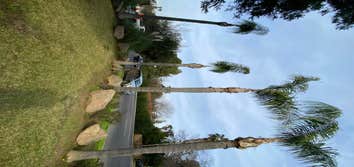Photos by Trinity Tree Service #1