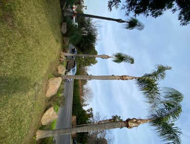 Photos by Trinity Tree Service #1
