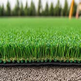 Gold Coast Turf Great Neck