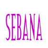 Sebana Kitchens and Bath Remodeling logo