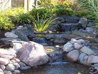 Photos by the Pond Pros of Southern California Advanced Pond Pro Inc #1