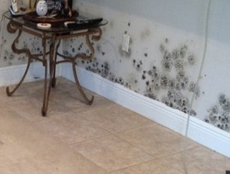 Photo(s) from Clean Construction & Building Services At CLEAN Construction & Building Services we are not going to be your everyday janitorial service,