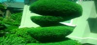 Photos from Green Grass Landscaping Inc