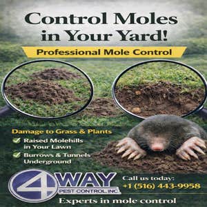 Photos by 4 Way Pest Control Inc #1