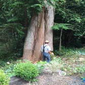 Photo(s) from Justin L Foss Tree Service