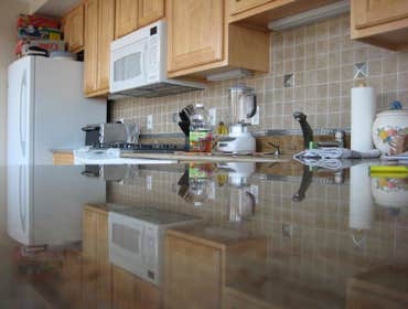 Photos by Shutronix LLC #1