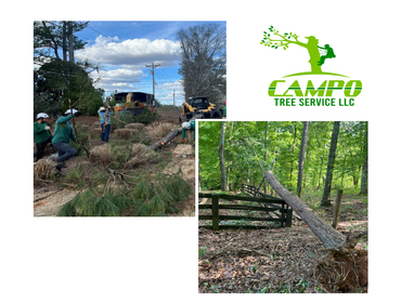 Photos by Campo Tree Service LLC #4