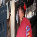 Strickland Heating and Air