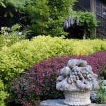 Photos by Re Landscapes Inc #1