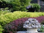 Photos by Re Landscapes Inc #1