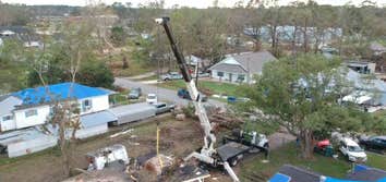 Photos by JOE'S Tree Service and Lanscanping #2