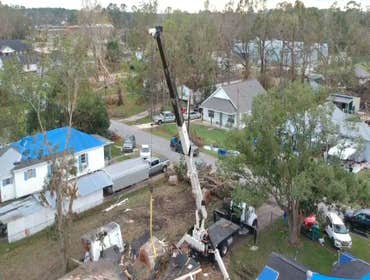 Photos by JOE'S Tree Service and Lanscanping #2