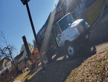 Photos by Green Point Tree Services & Landscaping #8