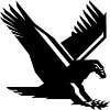 Eagle Plumbing & Repairs, LLC logo