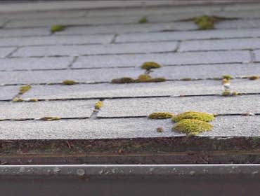 Photos by Dakota Roofing #2