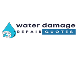 Photos by Marco Island Remediation #1