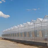 COLORADO CITY - 2 ACRES