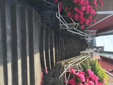 Photos from Diamond Quality Pressure Wshng Pressure wash walkways, and steps
