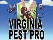Photos by Virginia Pest Pro #1