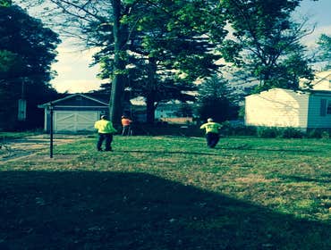 Tree Service South Jersey