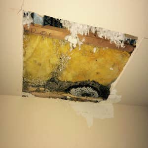Photos from Sharps Drywall Repair