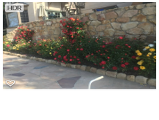 Photos by Foothill Nursery & Landscape Inc #1