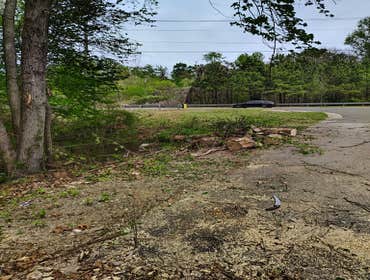 Flores Tree Services General & Landscaping