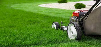 Photos by Mba Lawn and Landscaping #1