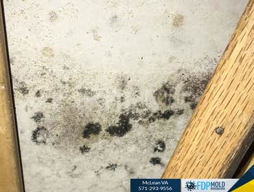 Photos by FDP Mold Remediation of McLean #1