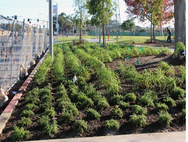 Edison Community Complex New Construction, Install 3 Soccer Fields, Planters and New Irrigation
